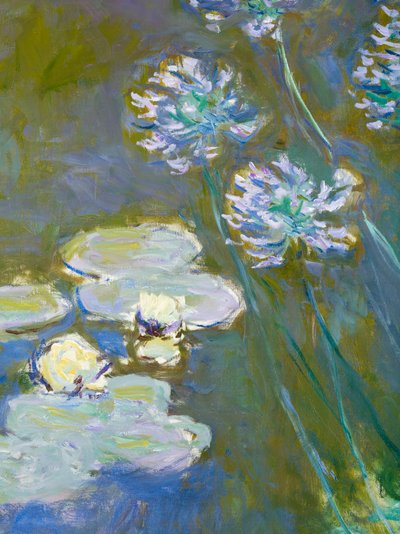 Seerosen und Agapanthus, 1914-17 (Detail) von Claude Monet